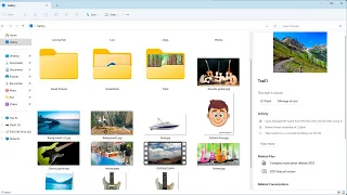 The New Upcoming Windows 11 File Explorer Details Pane & Gallery