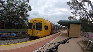 MTB Train Runs- Belair/Mitcham (how-to) (4K)