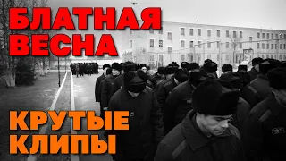 Блатная весна - Крутые клипы - Только хиты