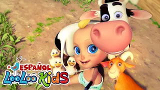 La vaca Lola,🐥Los Pollitos - Canciones Infantiles Para Niños | LooLoo español | Videos para Bebés