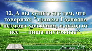 ВидеоБиблия Книга пророка Малахии глава 1 читает Бондаренко