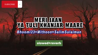 Meri Jaan Ya Tuli Khanjar Maare slowed and reverb|Bhoomi 2023|Mithoon |Abdul Rashid Hafiz,Asees kaur