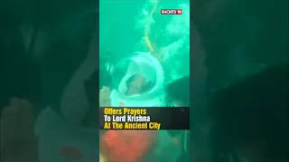 Gujarat | PM Modi Dives Down To The Submerged City Of Dwarka To Offer Prayers | #shorts | N18S