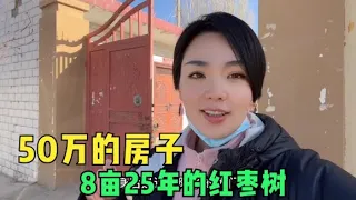 阿宁的雕工师傅想在新疆买房，8亩枣树加院子要50万，这价格值吗？