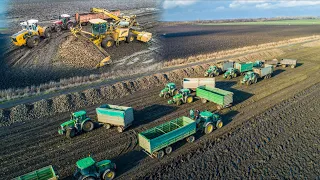 💪 EXTREME Sugar Beet Transport 2020 | 10x John Deere Tractor in the MUD! Cukorrépa Szállítás 2020