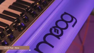 Moog Sub 37 Presets // Audiotent Sequent