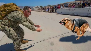 Tiere treffen ihre Besitzer nach Jahren wieder!