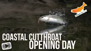 Coastal Cutthroat Fishing - Stream Fishing for cutthroat in Washington