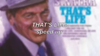 Frank Sinatra - That's Life | Speed Up