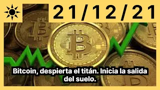 Bitcoin, despierta el titán. Inicia la salida del suelo.