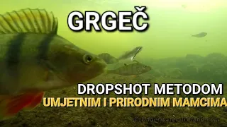 Dropshot fishing for Perch // Dropshot ribolov na Grgeca