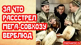 За что расстреляли создателя крупнейшего совхоза Союза