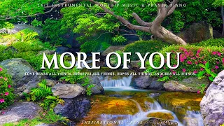 MORE OF YOU | Instrumental Worship and Scriptures with Nature | Inspirational CKEYS