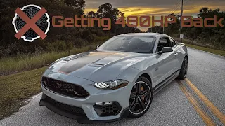 How to Make Your 2023 Mach 1 FASTER in Minutes For FREE..