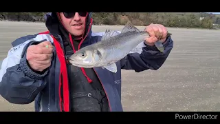 Flounder and Early Bass hunt