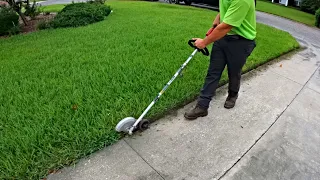 Mowing the lawn fast (Oddly Satisfying Lawn Care)