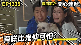 愛．回家之開心速遞 | 第1335集精華 | 有咩比鬼仲可怕?