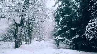 Agalloch - Birth and Death of the Pillars of Creation