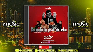 BANDIDAJE Y CANELA MIXTAPE 2023 - DJ JONATHAN PTY (TACHI, BOZA, SECH, EDDY LOVER, FRANCISKAO Y MÁS)