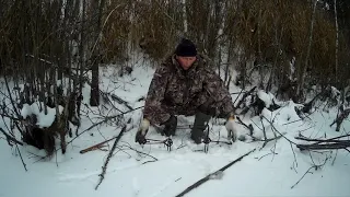 установка и ловля бобра проходными капканами подо льдом с привадой