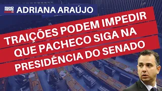 Adriana Araújo: traições podem impedir que Pacheco siga na presidência do Senado