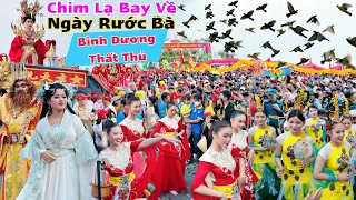 Đàn Chim lạ bay về Lễ Rước Cộ Bà Thiên Hậu Bình Dương 2024 thất thủ cơn bão người