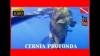 Pesca Sub - Cernia 5,7 e Dotto 2 kg profondi!!