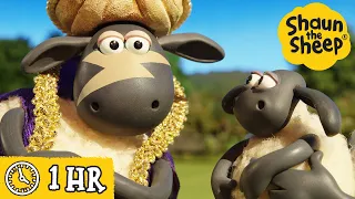 Shaun the Sheep 🐑 Timmy's GIANT Pizza Wish & MORE 🍕 Full Episodes Compilation