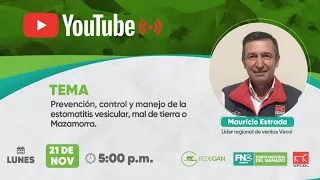 Prevención, control y manejo de la estomatitis vesicular, mal de tierra o Mazamorra.