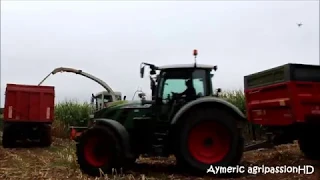 Ensilage de maïs 2018 ! Avec le mythique CaseIH 1255XL au silo! | Aymeric agripassionHD📷