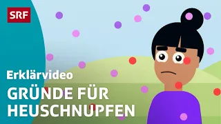 Wieso haben immer mehr Heuschnupfen? – einfach erklärt | Kindervideos | SRF Kids