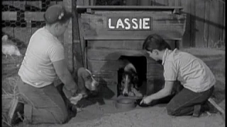 Lassie - Episode #93 - The Dog House -  Season 3, Ep. 28 -  03/17/1957