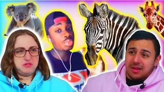 Casual Geographic - No Animal Is Safe!! (Ruining Your Favorite Animals) | Eli & Jaclyn REACTION