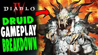 Diablo 4: Druid Gameplay Trailer TOTAL BREAKDOWN - Skills, Abilities, Locations, Items & MORE!