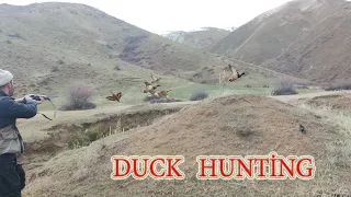 DUCK HUNTİNG 2020- 2021 -TWO DUCKS IN ONE SHOT-Catching a WİLD duck by hand :)