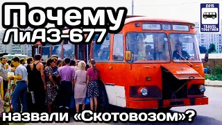 ❓Почему автобус ЛиАЗ-677 прозвали «Скотовозом»? | Why was the LiAZ-677 bus called "Skotovoz"?