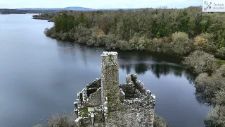 Dromore Woods, County Clare