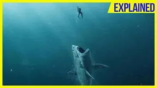 The Meg (2018) explained in 7 minutes