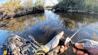 Summer Big Bass Hunt (Delta tournament practice)