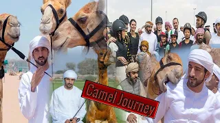 Sheikh Hamdan bin Mohammed directs to hold the "Camel Journey Marathon" annually.