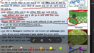 Solution of science worksheet-45 पैरेनकाइमा ऊतक  class IX hindi medium (16/10/2020)