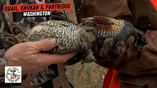 Upland Hunting in Washington's Stunning Columbia River Country