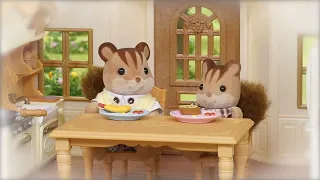 Great Adventures with Dad! 🤗 NEW Stop Motion Episodes | Sylvanian Families