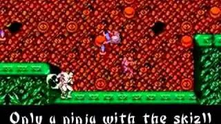 The Adventures Of Duane & BrandO - Ninja Gaiden