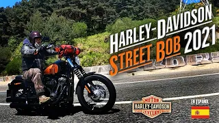 Harley-Davidson STREET BOB 2021 - Prueba y opinión.