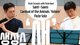 "Voliere" from Saint-Saëns | Flute Excerpts Cycle | 오케액섭 정주행 3