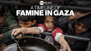 Famine in Gaza: A timeline of how the hunger crisis is unfolding