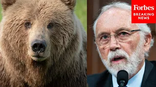 Dan Newhouse Grills Top Park Service Officials On Plan To Introduce Grizzly Bears Into His District