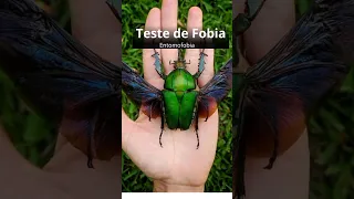 Teste sua Fobia #shorts #edit #curiosidades