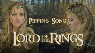 Edge of Night (Pippin's Song) - Lord of the Rings (SoulHikers Cover)